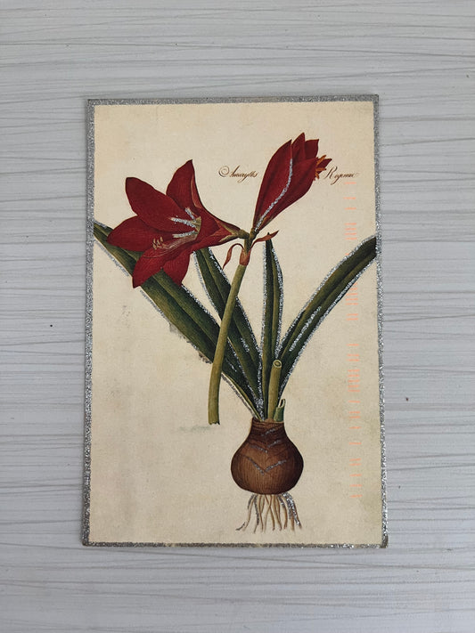 Vintage Glitter Embellished Art Postcard of Hippeastrum Puniceum / Easter Lily Barbados Lily 2007 Printing | Postally Used | Paris Les Liliacées