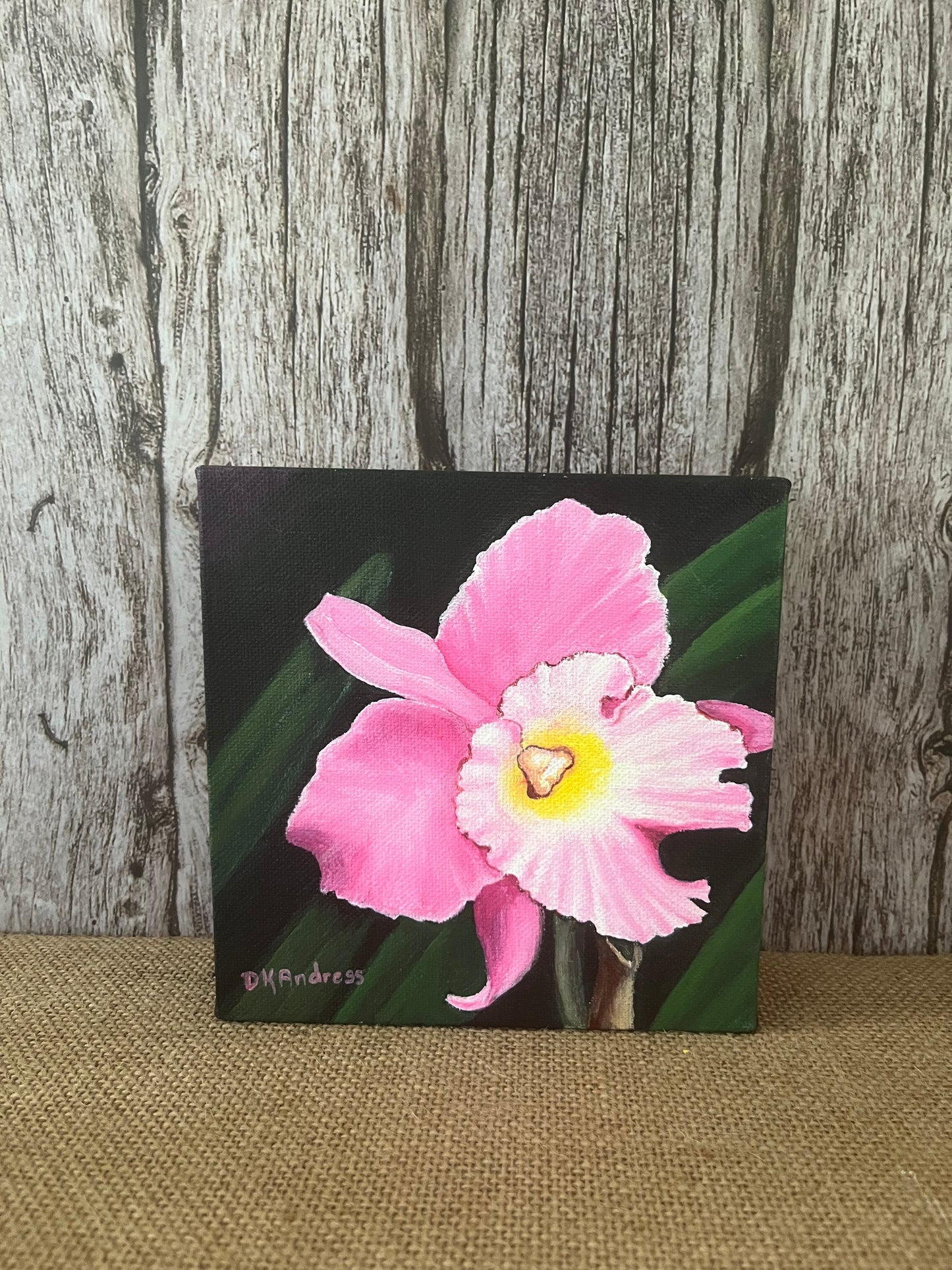 Original Art Pink Orchid Painting on Canvas, 6”x6”, Artist Signed