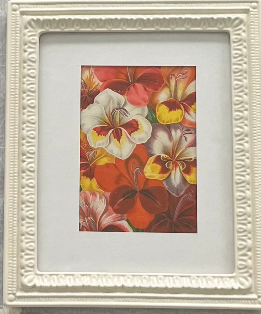 Golden Age of Seed Catalogue Art -Gladiolus Flowers in White Vintage Style Modern Frame