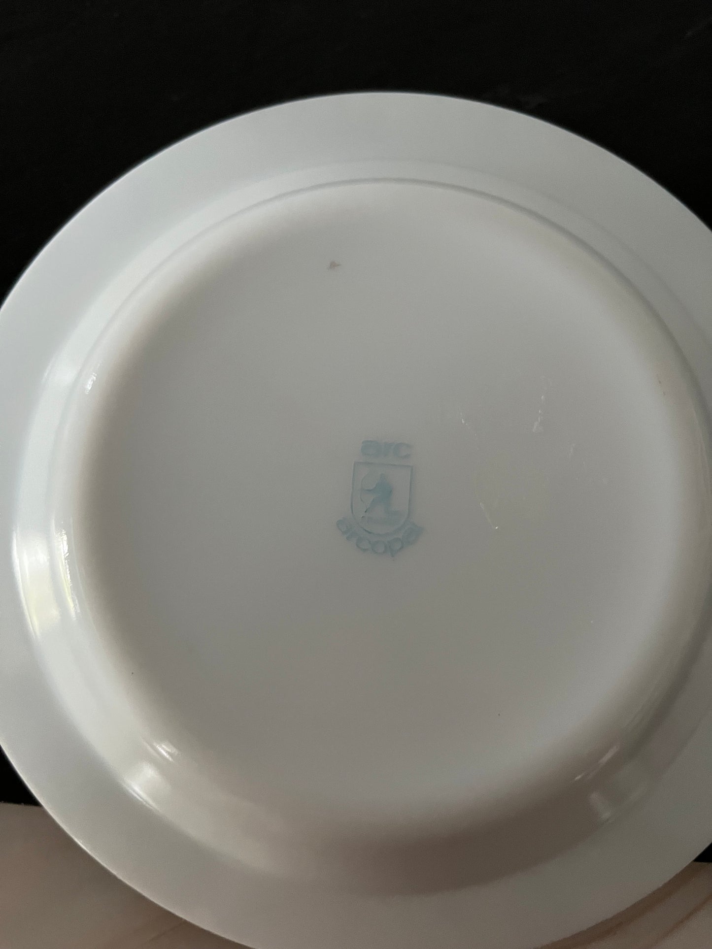 Grandmillennial Style Vintage Arcopal France Opaline Milk Glass Soup Plate - Blue and White Onion Pattern with Flower Motif